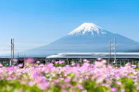 Bullet Train Passing by Mount Fuji