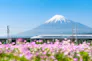 Bullet Train Passing by Mount Fuji