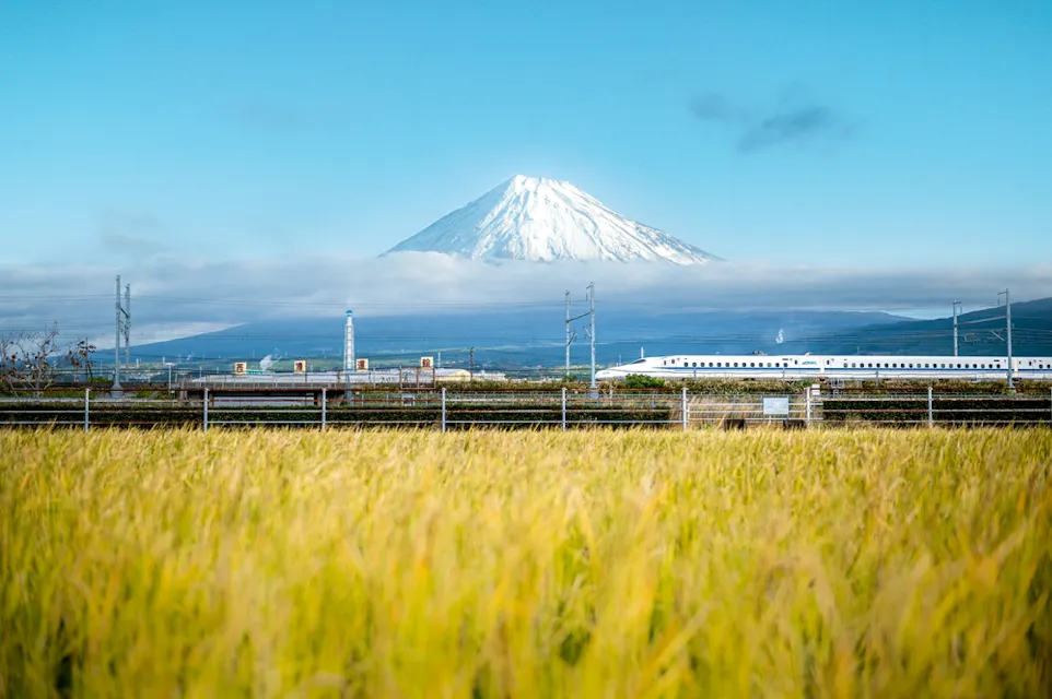 A snow-capped mountain under a clear blue sky with a white train passing through a field of yellow grass and a row of power lines in the foreground.