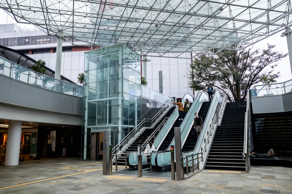 A spacious, modern building entrance features a glass elevator and two sets of escalators. The ceiling is made of transparent panels, allowing natural light to fill the area. Several people are using the escalators. A tree is visible on the right.