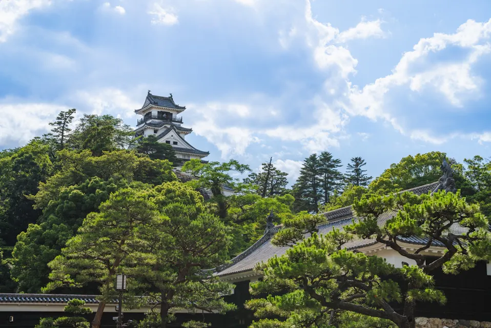 Early summer, fine weather Kochi Castle Early summer, fine weather Kochi Castle