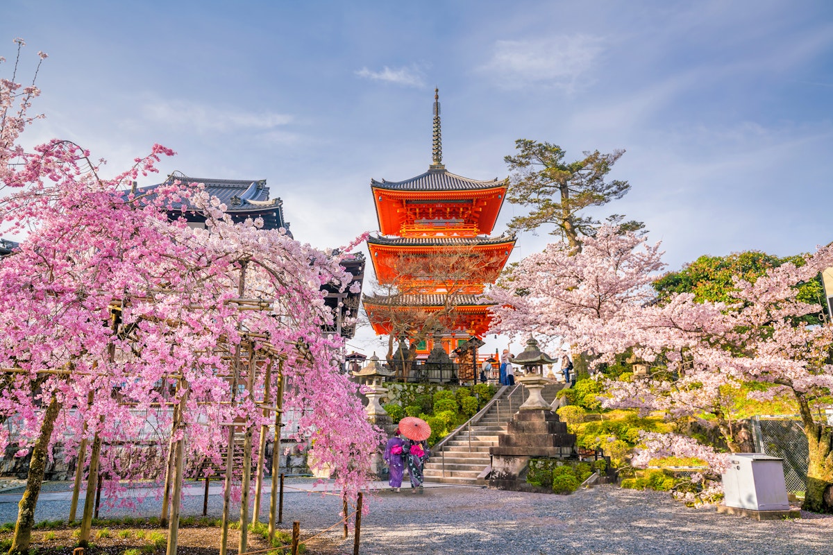 Spring in Japan A traditional Japanese pagoda surrounded by cherry blossom trees in full bloom. Two people in colorful clothing and holding an umbrella walk along a path. The sky is clear and blue, enhancing the serene scene.