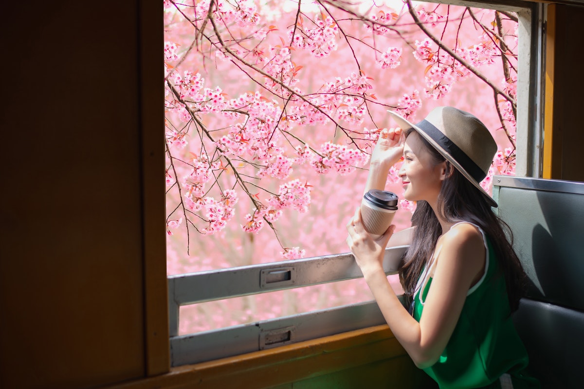 Springtime What-to-Wear Guide for Travelers A woman in a green dress and hat sits by a train window, holding a coffee cup. She gazes outside at cherry blossoms in full bloom, with sunlight gently illuminating her.