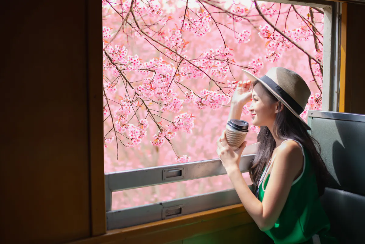 A woman in a green dress and hat sits by a train window, holding a coffee cup. She gazes outside at cherry blossoms in full bloom, with sunlight gently illuminating her.