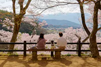 Two people sit on a wooden bench under cherry blossom trees, overlooking a scenic valley with mountains in the distance. The ground is covered in soft petals, casting a serene atmosphere.