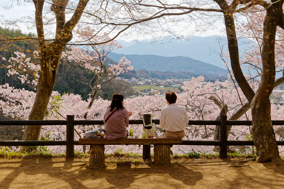 Visiting Japan in April