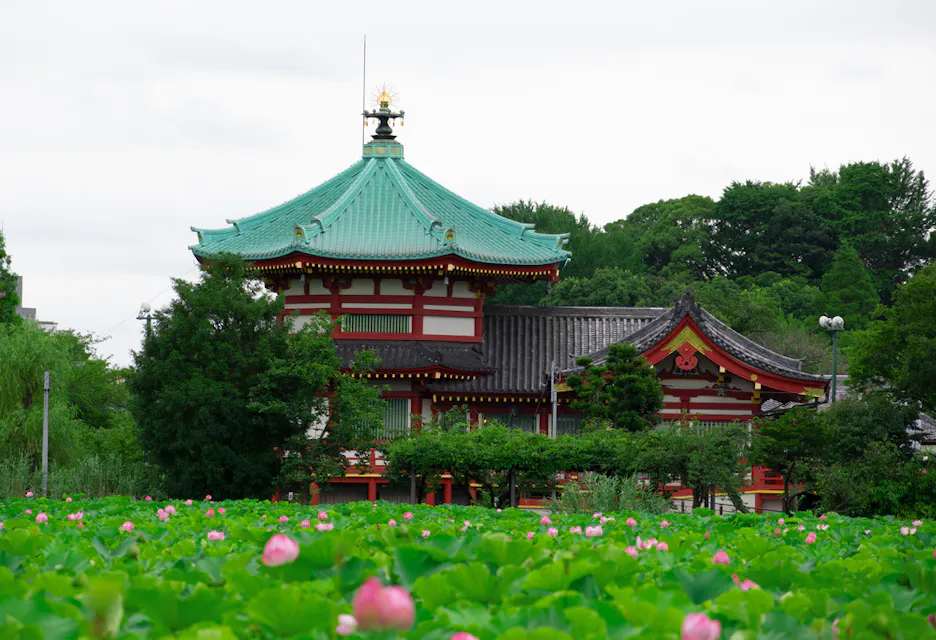 A traditional Japanese building with a green pagoda-style roof stands amidst lush greenery and vibrant pink lotus flowers. The sky is overcast, adding a serene atmosphere to the scene.