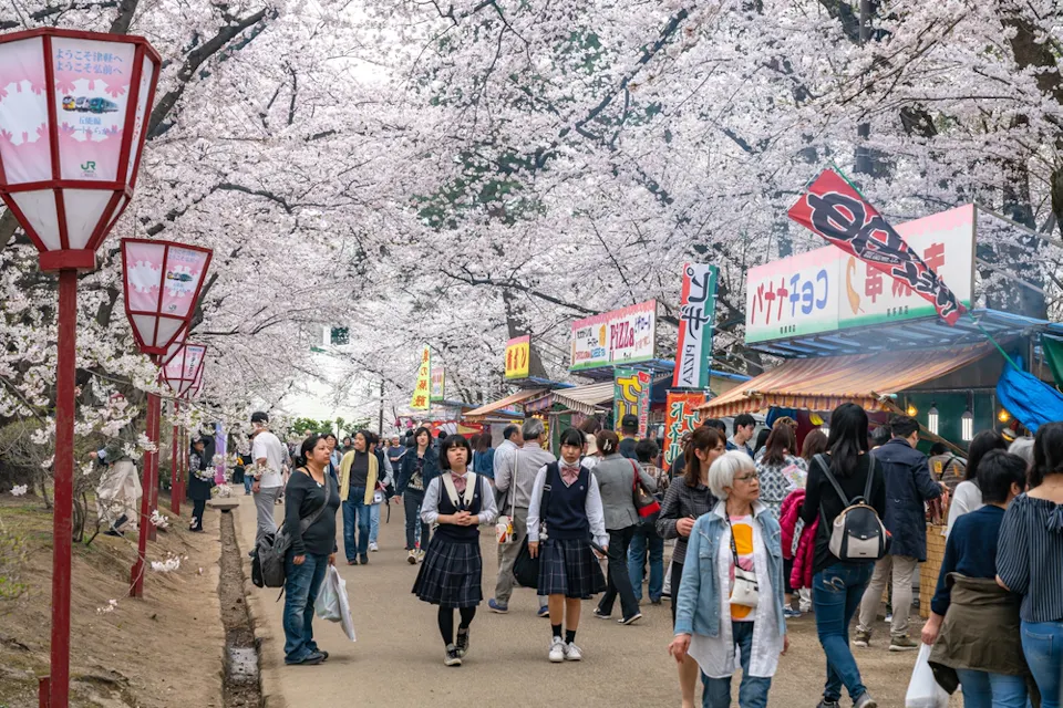 Hirosaki Cherry Blossom Festival A bustling cherry blossom festival with people walking along a pathway lined with food stalls and sakura trees in full bloom. Attendees, including some in school uniforms, enjoy the vibrant atmosphere under the pink blossoms.