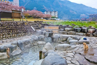 Natural hot spring onsen in Gero onsen town