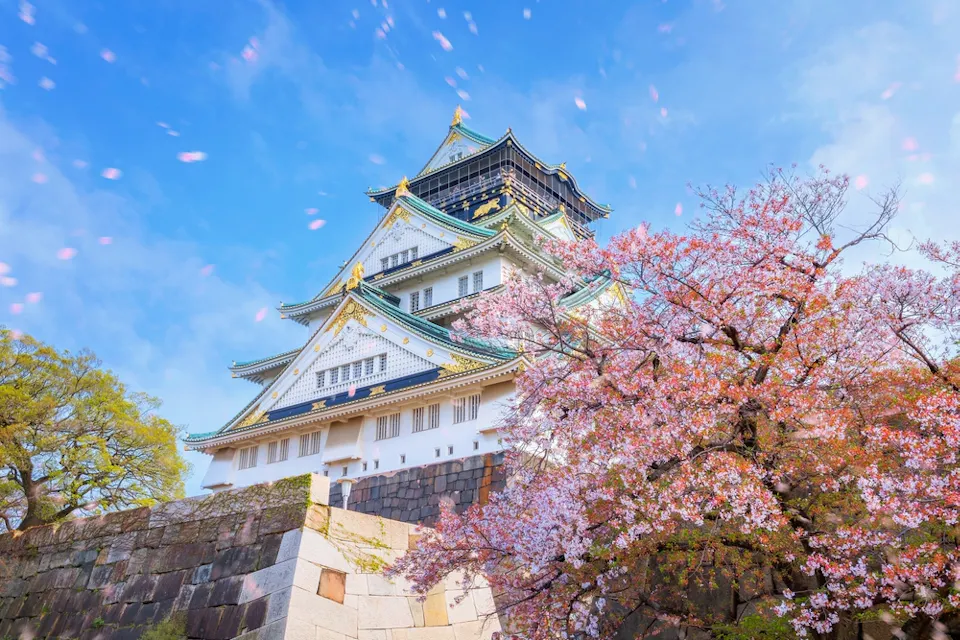 Osaka Castle A traditional Japanese castle with ornate rooftops is surrounded by blooming cherry blossom trees under a clear blue sky, with pink petals gently falling in the foreground.