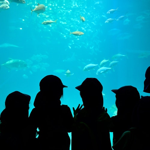 Osaka with Kids Osaka with Kids