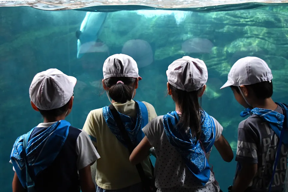Osaka Aquarium Kaiyukan Four children wearing white caps and blue bandanas stand with their backs to the camera, peering into a large aquarium. A dolphin swims above them in the water, creating a sense of wonder and excitement.