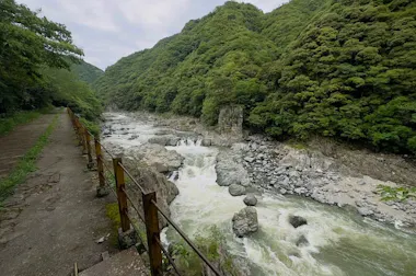 Osaka Abandoned Track