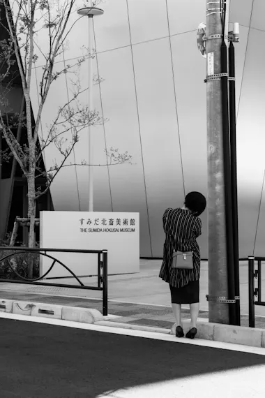 Tokyo Cultural Tour
