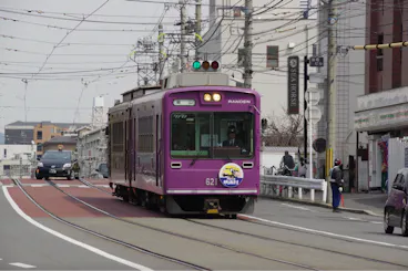 A purple streetcar with the number 621 and "RANDEN" on the front travels along tracks on a city street, passing buildings, cars, and overhead wires on a cloudy day.