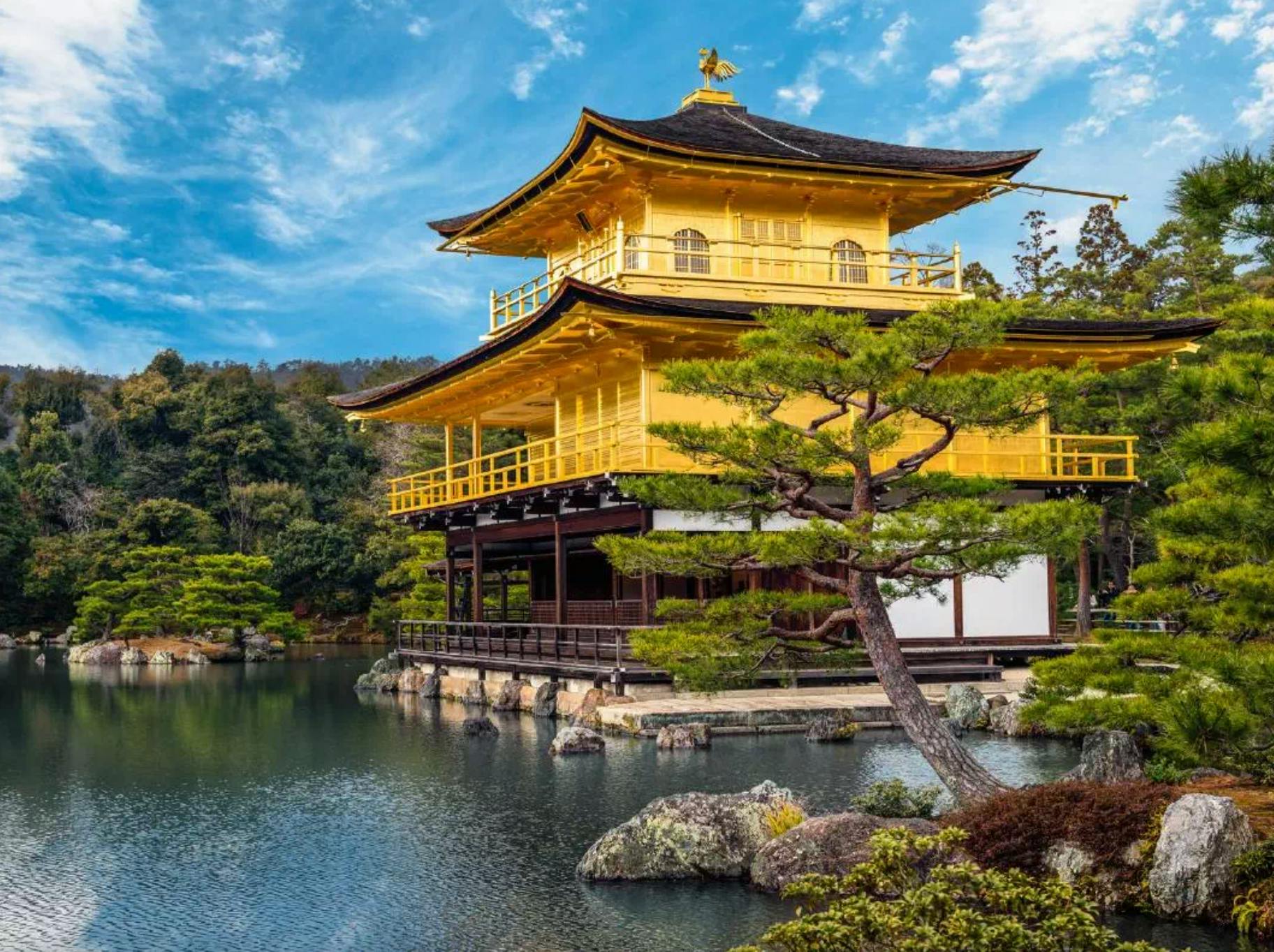 교토 전세 관광 택시 3시간 코스