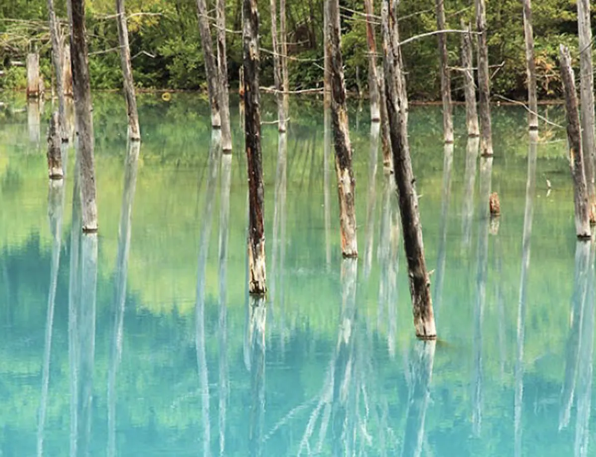 Shirogane Blue Pond Shirogane Blue Pond