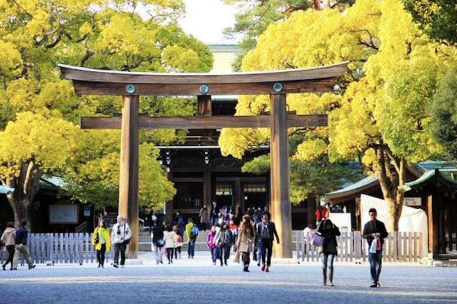 Meiji Shrine