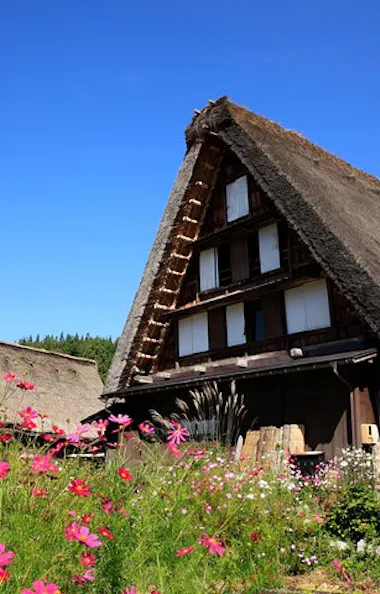 Shirakawago Shirakawago