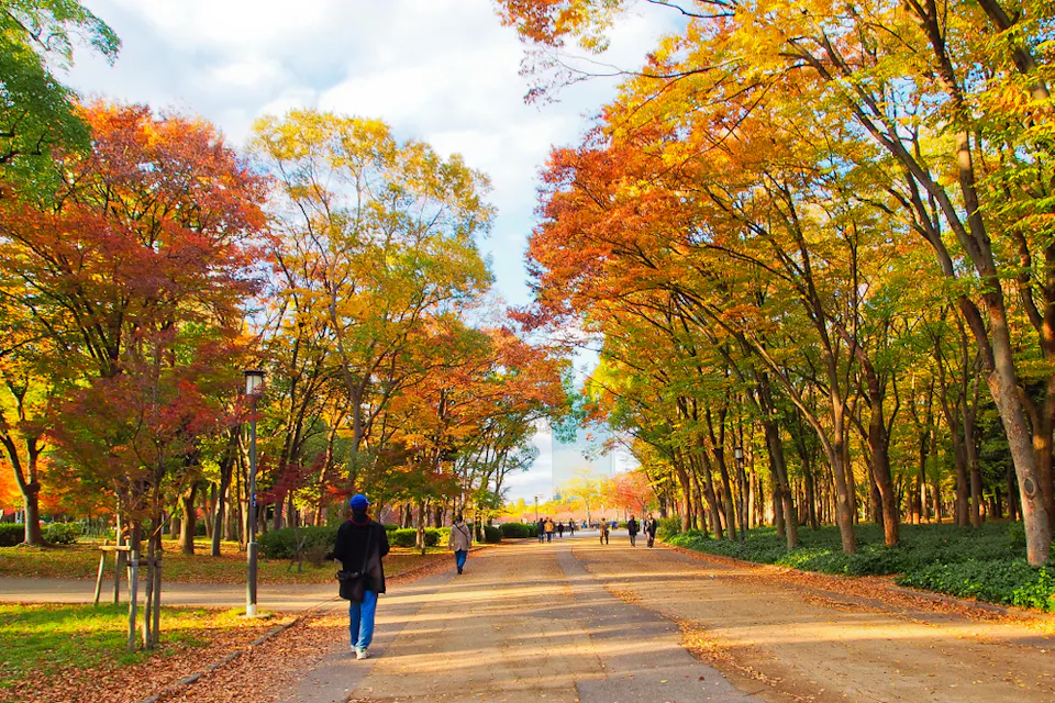 A person walks along a pathway lined with trees showcasing vibrant autumn foliage in shades of red, orange, and yellow. Other people stroll in the distance under a partly cloudy sky. The ground is scattered with fallen leaves.