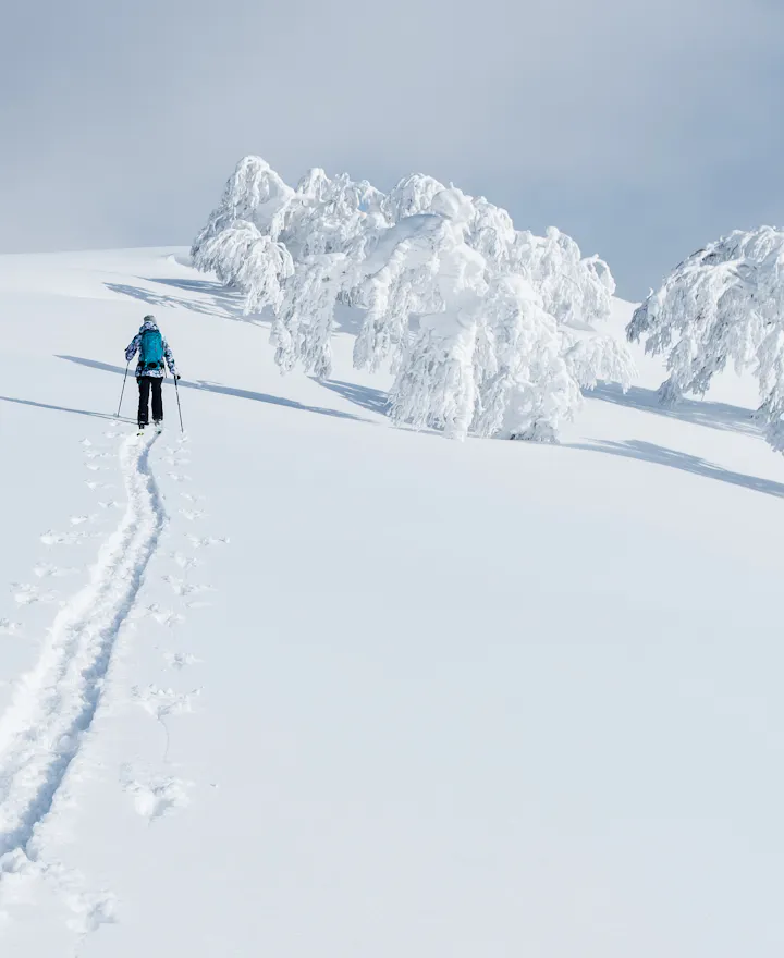 Niseko Snow Niseko Snow