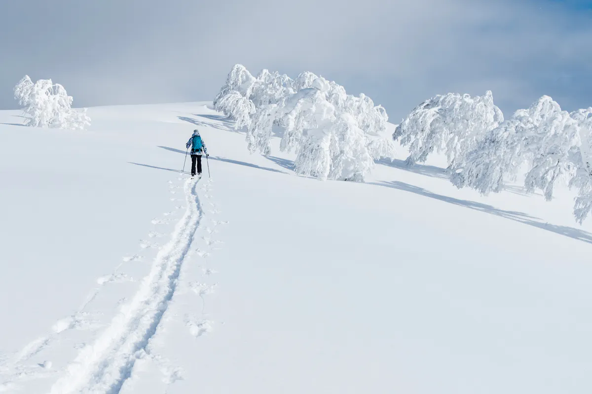 A person is skiing up a snowy slope, leaving tracks behind them. They are wearing a blue jacket and using ski poles. The landscape is covered in snow, with snow-laden trees in the distance under a light blue sky.