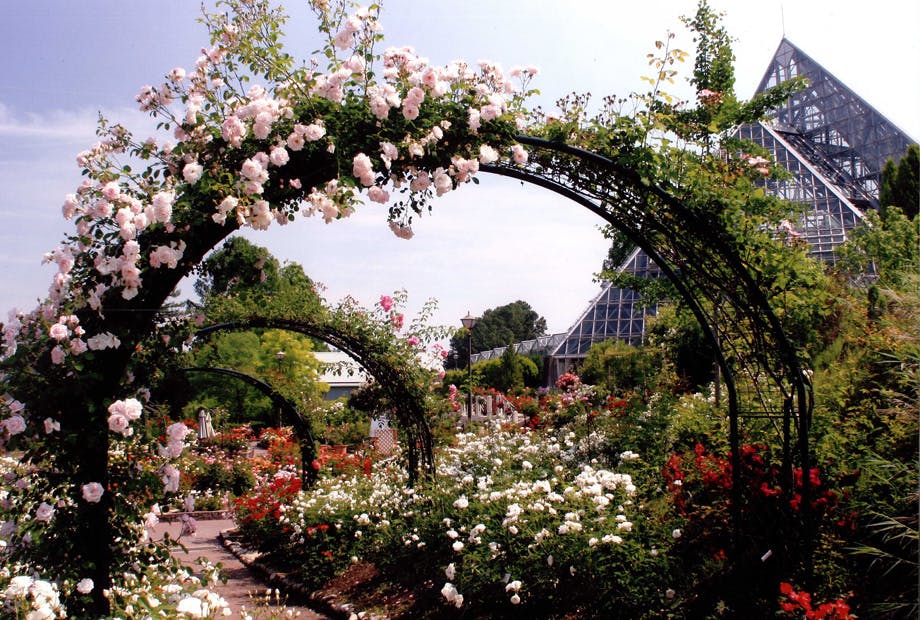 Osaka Prefectural Flower Garden