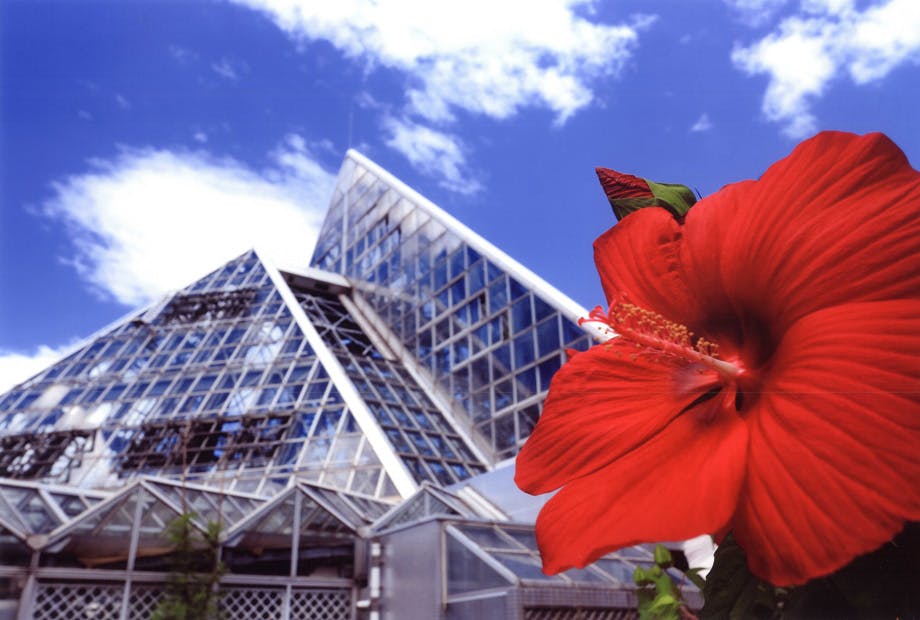 Osaka Prefectural Flower Garden