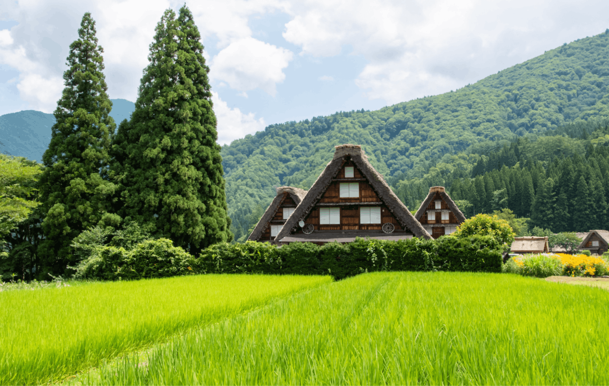 Shirakawa-go