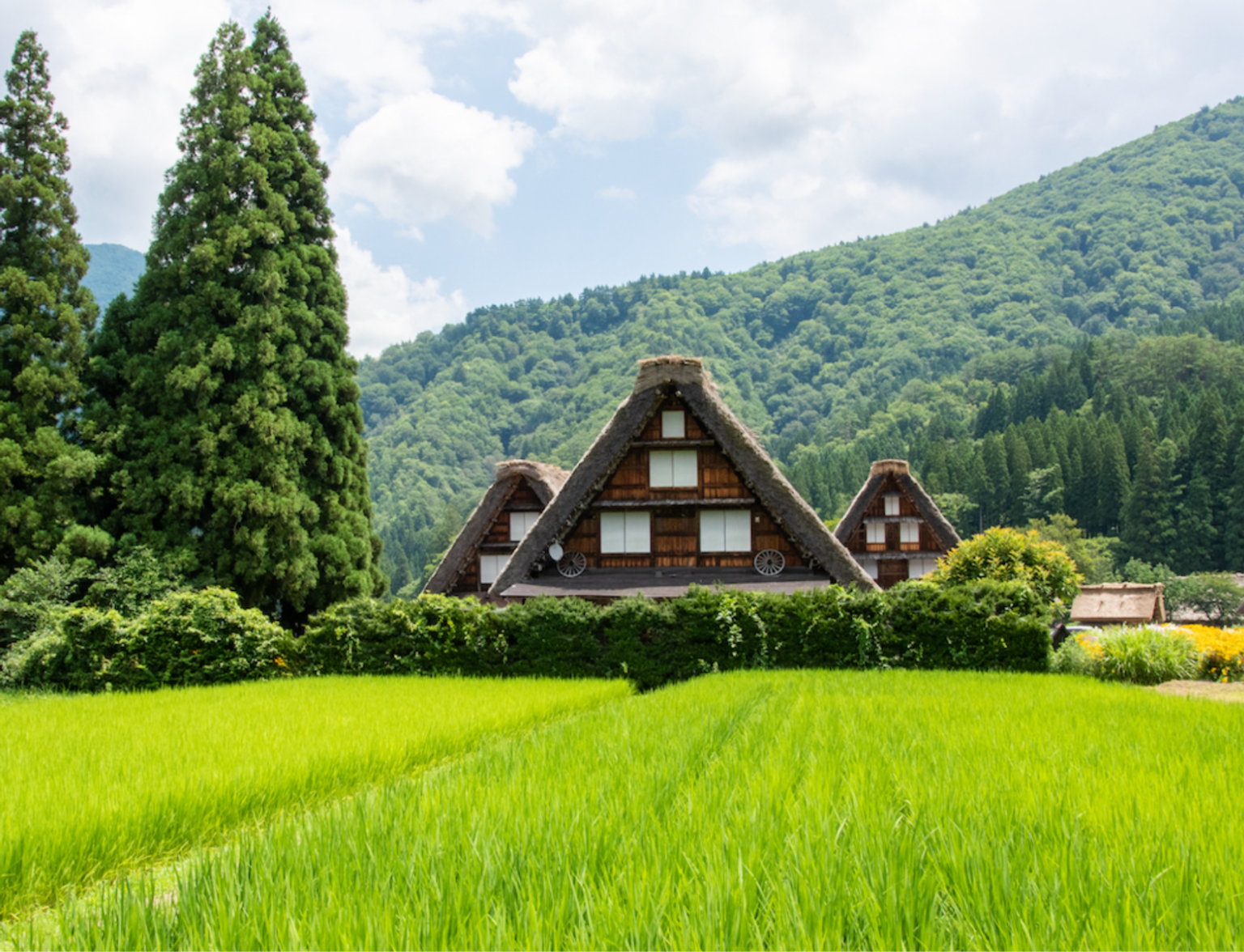 Shirakawa-go Shirakawa-go