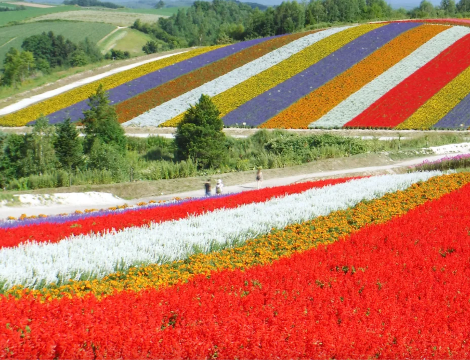 Shikisai no Oka Shikisai no Oka