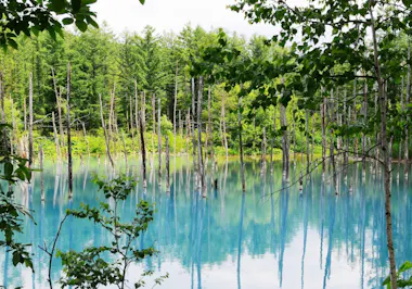 Blue Pond