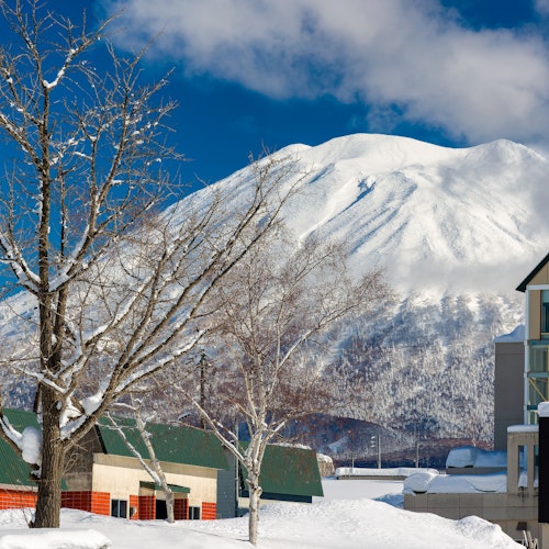Niseko Ski Resort A snow-covered mountain under a clear blue sky serves as a backdrop to buildings with green roofs and a church-like tower in the foreground. Bare trees, dusted with snow, line the scene, capturing a serene winter landscape.