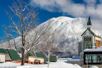 A snow-covered mountain under a clear blue sky serves as a backdrop to buildings with green roofs and a church-like tower in the foreground. Bare trees, dusted with snow, line the scene, capturing a serene winter landscape.