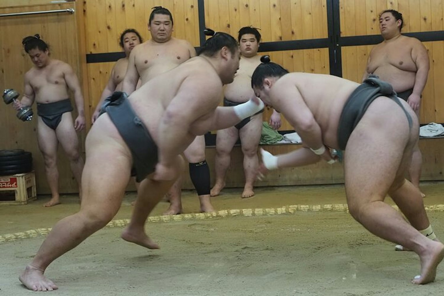 Sumo Tour
