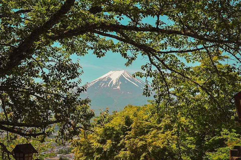 Snow-capped Mount Fuji is framed by lush green tree branches under a clear blue sky. The vibrant greenery contrasts with the distant mountain, creating a picturesque scene.