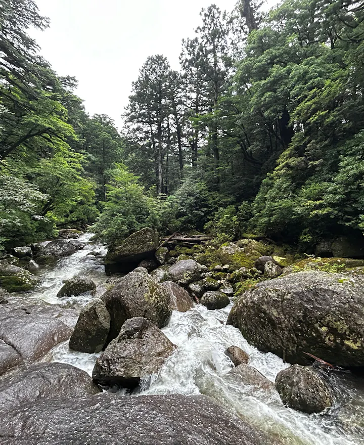 Yakushima Yakushima