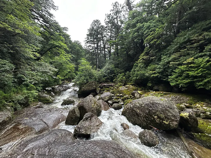 Yakushima