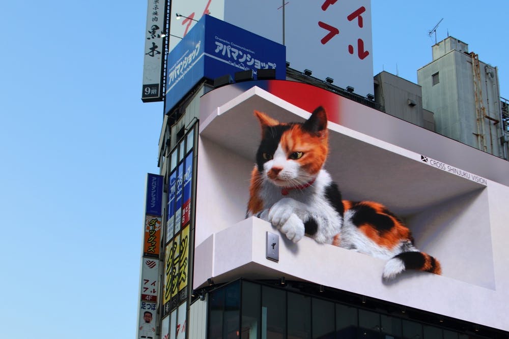 A large 3D digital billboard displays a realistic calico cat peeking out from a box, above a busy building with various colorful signs and advertisements in a city.