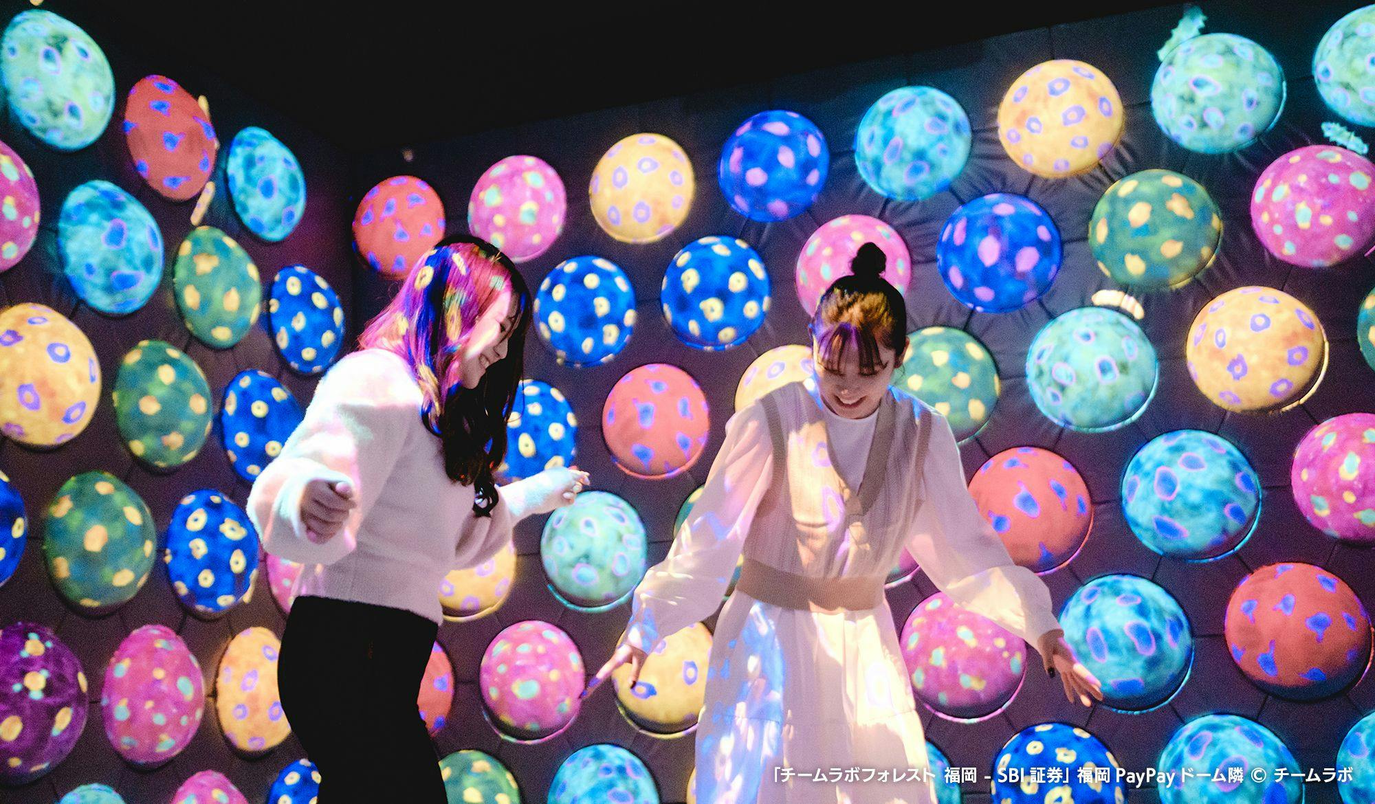 teamLab Forest Fukuoka