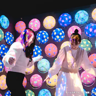 teamLab Forest Fukuoka teamLab Forest Fukuoka