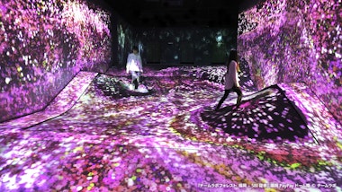teamLab Forest Fukuoka
