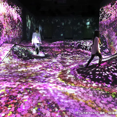 teamLab Forest Fukuoka teamLab Forest Fukuoka