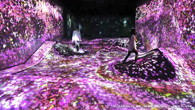 teamLab Forest Fukuoka