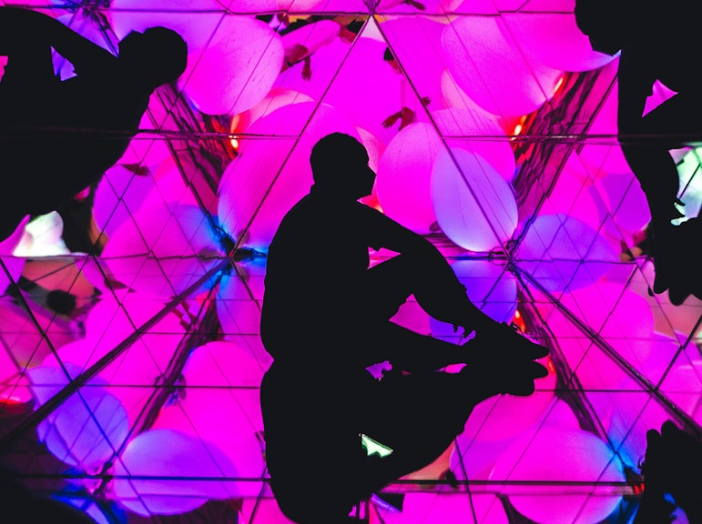 teamLab Forest Fukuoka (SBI Securities) Digital Art Museum Tickets