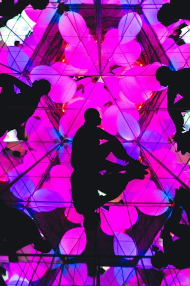 teamLab Forest Fukuoka
