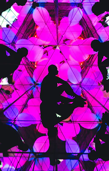 teamLab Forest Fukuoka teamLab Forest Fukuoka