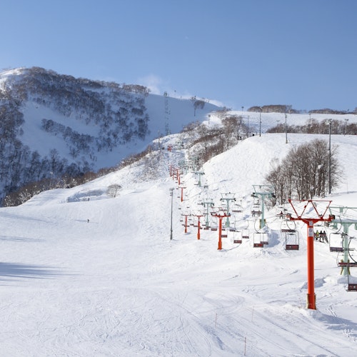 Niseko Grand Hirafu A snowy mountain landscape with a ski lift carrying people up the slope. Skiers are scattered across the snowy terrain, and the sky is clear and blue. The hillside is dotted with leafless trees.