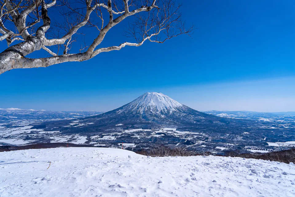 A snow-covered mountain stands under a clear blue sky, with barren tree branches in the foreground. The surrounding landscape is blanketed in snow, creating a serene winter scene.