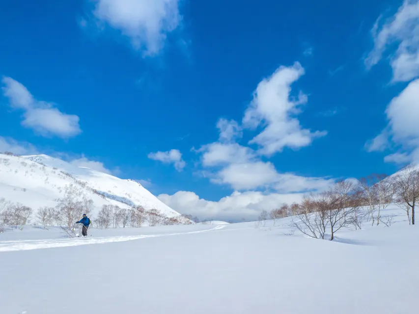 A person skis across a vast snowy landscape under a bright blue sky dotted with fluffy white clouds. Bare trees are scattered across the snow-covered terrain, and mountains rise in the background.